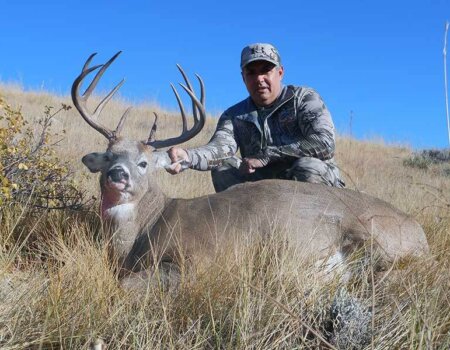 wta_1519_OUA1AH_Matt-Taylor-2015-White-tail