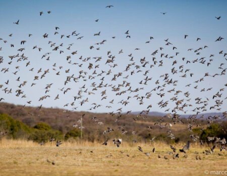 wta_1522_T5G87J_mf_2011_003-793