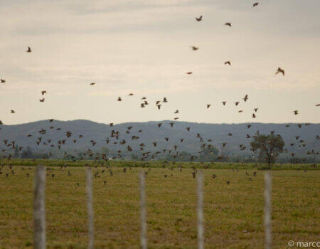 wta_1522_X751YF_MF_2009_037_0001