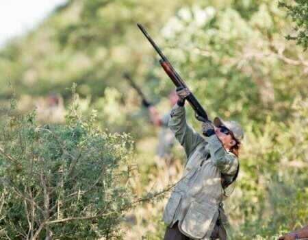 wta_1522_ZFA3CS_MF_2011_057-1946