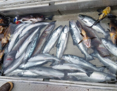 wta_1525_5CZZ4R_20160706_144330