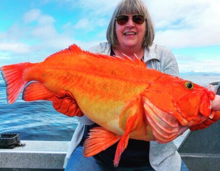 wta_1525_A011E968-C587-4C4C-BE05-5AA96BB08E60