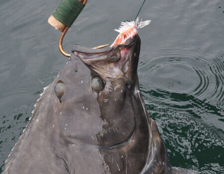 wta_1525_EODNV4_Lassen2013026