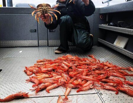 wta_1525_IMG-20181222-WA0004