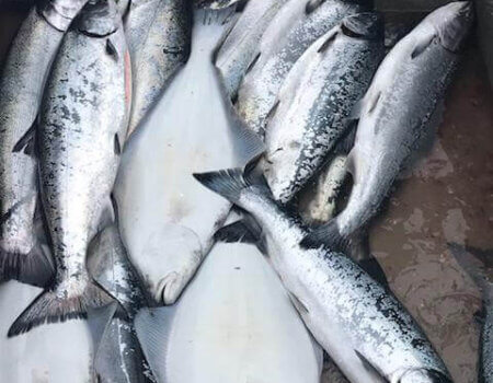 wta_1525_IMG-20181222-WA0006