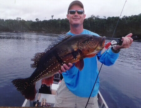 wta_1528_6TLOAC_peacock2