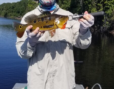 wta_1528_Blake3rdMount