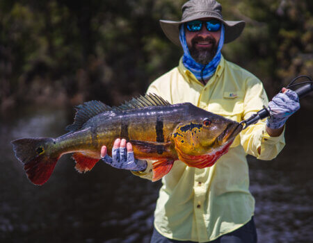 wta_1528_BradThweat2