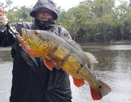 wta_1528_Dennis_Mason1