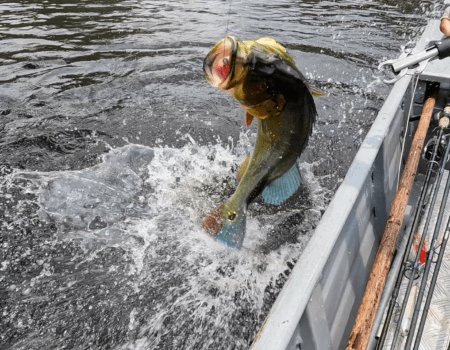 wta_1528_Igapo Acu Explorer-11