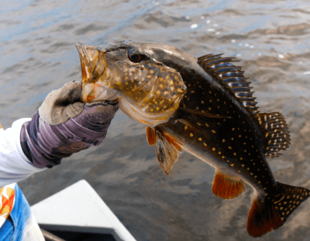 wta_1528_Igapo Acu Explorer-12