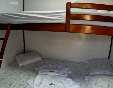 wta_1528_Igapo Acu Explorer-19