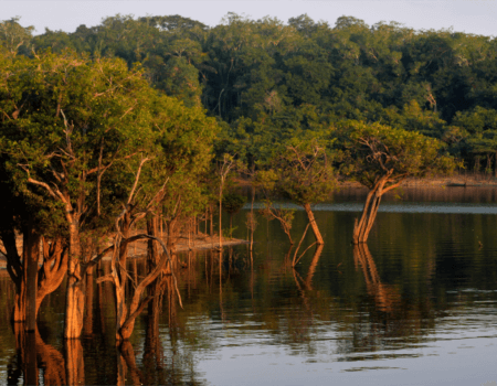 wta_1528_Igapo Acu Explorer-23