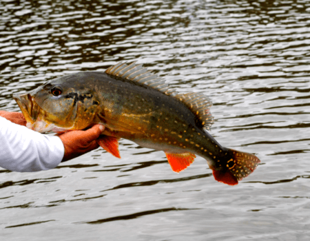 wta_1529_BUNGALOW-25