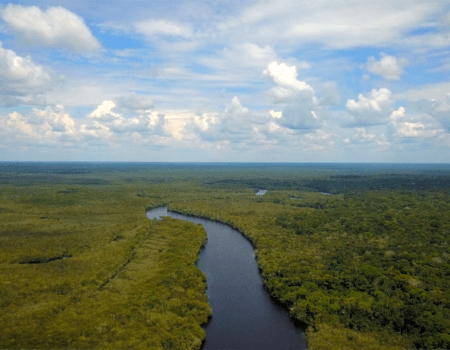 wta_1529_BUNGALOW-8 (1)