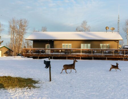 wta_1531_File_002 (2)