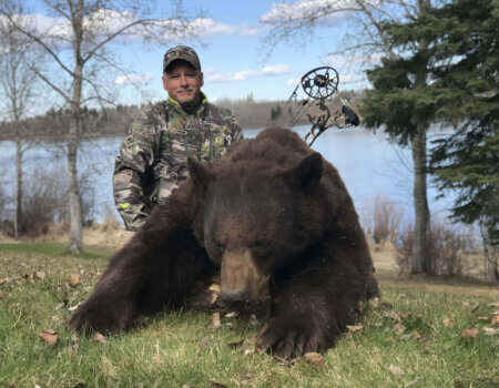 wta_1531_black_bear_File_0013