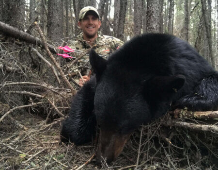 wta_1531_black_bear_File_002