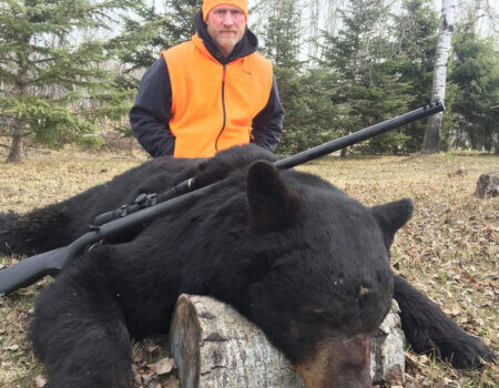 wta_1531_black_bear_File_0032-e1615389971485