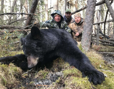 wta_1531_black_bear_File_007