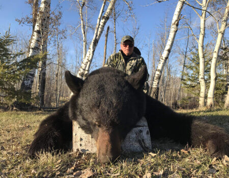 wta_1531_black_bear_File_010