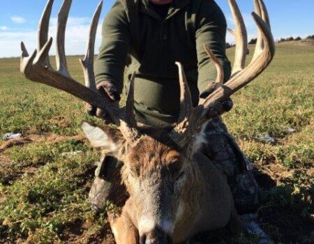 wta_1534_G4WMOL_image1