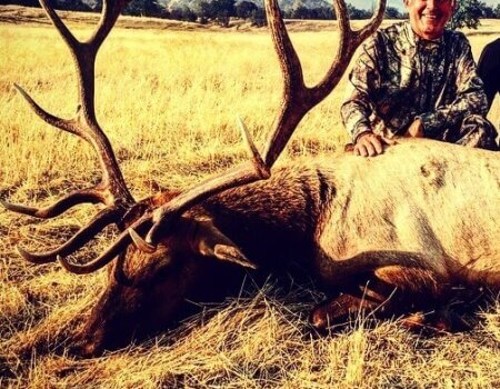 wta_1537_LCOF89_IMG_4717