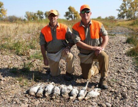 wta_1539_988UNK_sharp