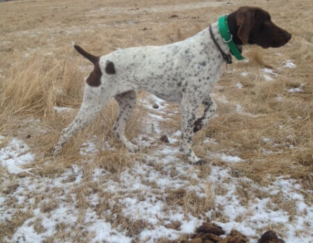 wta_1539_EIZR1V_photo