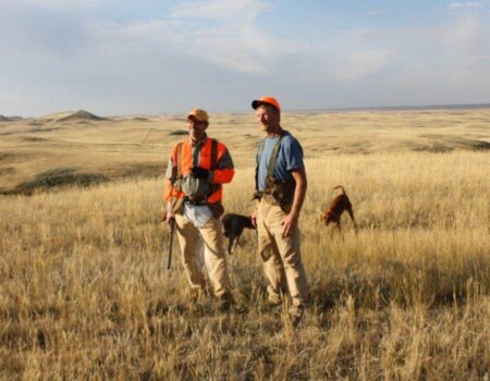 wta_1539_TCBF0O_LandscapeBirds