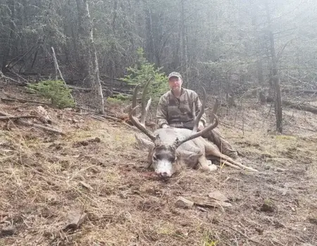 wta_1543_20161111_094858