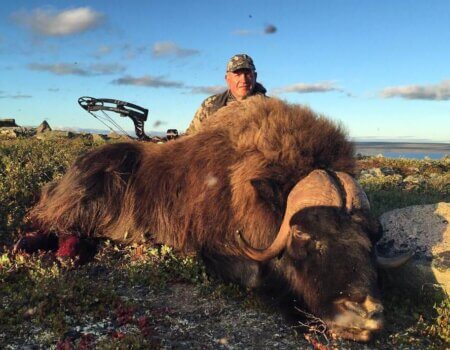 wta_1550_8CDXDA_Musk