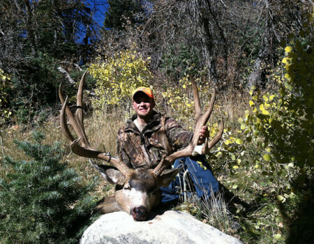 wta_1561_P59XII_IMG_1480