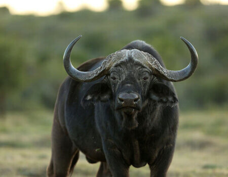 wta_1566_0H19AM_9B088782-96CA-45C0-A8EC-E3A2CFD237FD