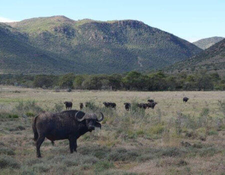 wta_1566_0XHY8O_DSC_0121