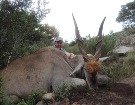 wta_1566_N4JFWJ_JTSwick-eland