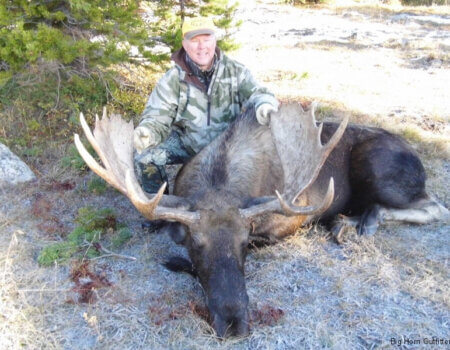 wta_156_F00U7L_WY_01Moose(2)