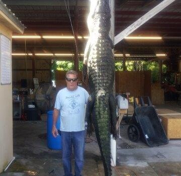 wta_1570_9083QB_Gator5