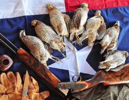 wta_1573_1FR08B_q100