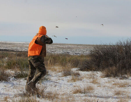 wta_1573_Z7DLI5_DannyCoveyFlush_02