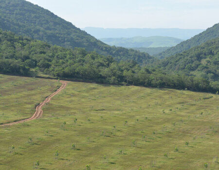 wta_1576_4RT0XW_DSC_0594