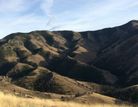 wta_1581_OURAWC_Terrian