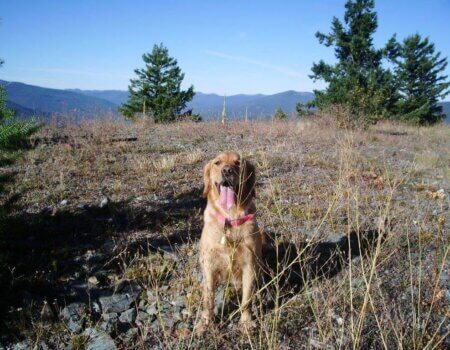 wta_1583_9K082U_IMGP2651