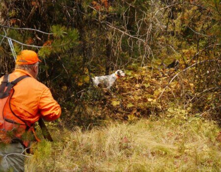 wta_1583_AYZ7PF_CopyofP1340999