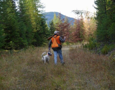 wta_1583_BZAAF8_CopyofP1330397