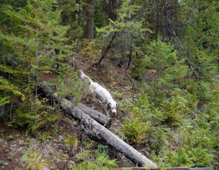 wta_1583_E8AYOI_CopyofP1330390