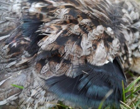 wta_1583_EXUKTX_CopyofP1350095