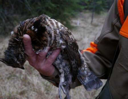 wta_1583_RCP0GU_CopyofP1350058