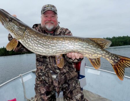 wta_1585_9BA4R5_Northern2