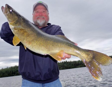 wta_1585_S33F3U_walleye3